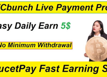 The All-in-One Solution: Making Money Online with BTCBunch.com’s Multifaceted Earning Features