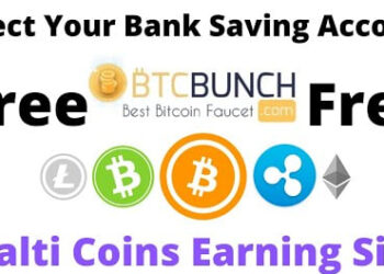 Unlocking Online Income: Making Money from Free Miner, Clicking Ads, and More on BTCBunch.com